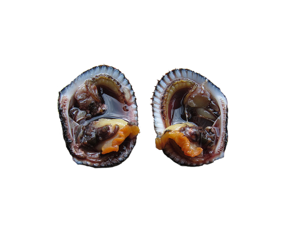 Procedencia: Pacifico Empacado Al Vacio Peso 454 GRS